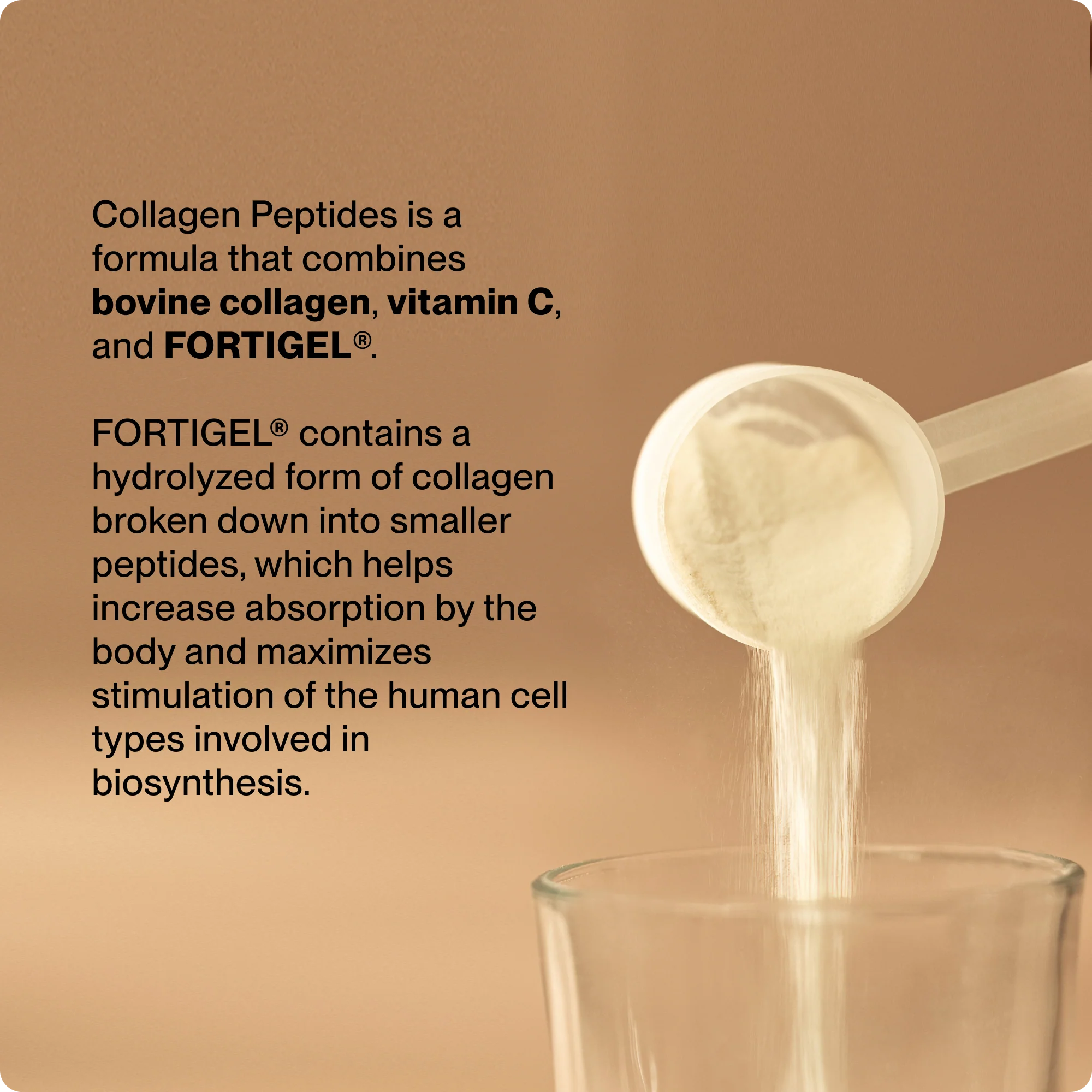 Collagen Peptides 10-Travel Packs - Image 4