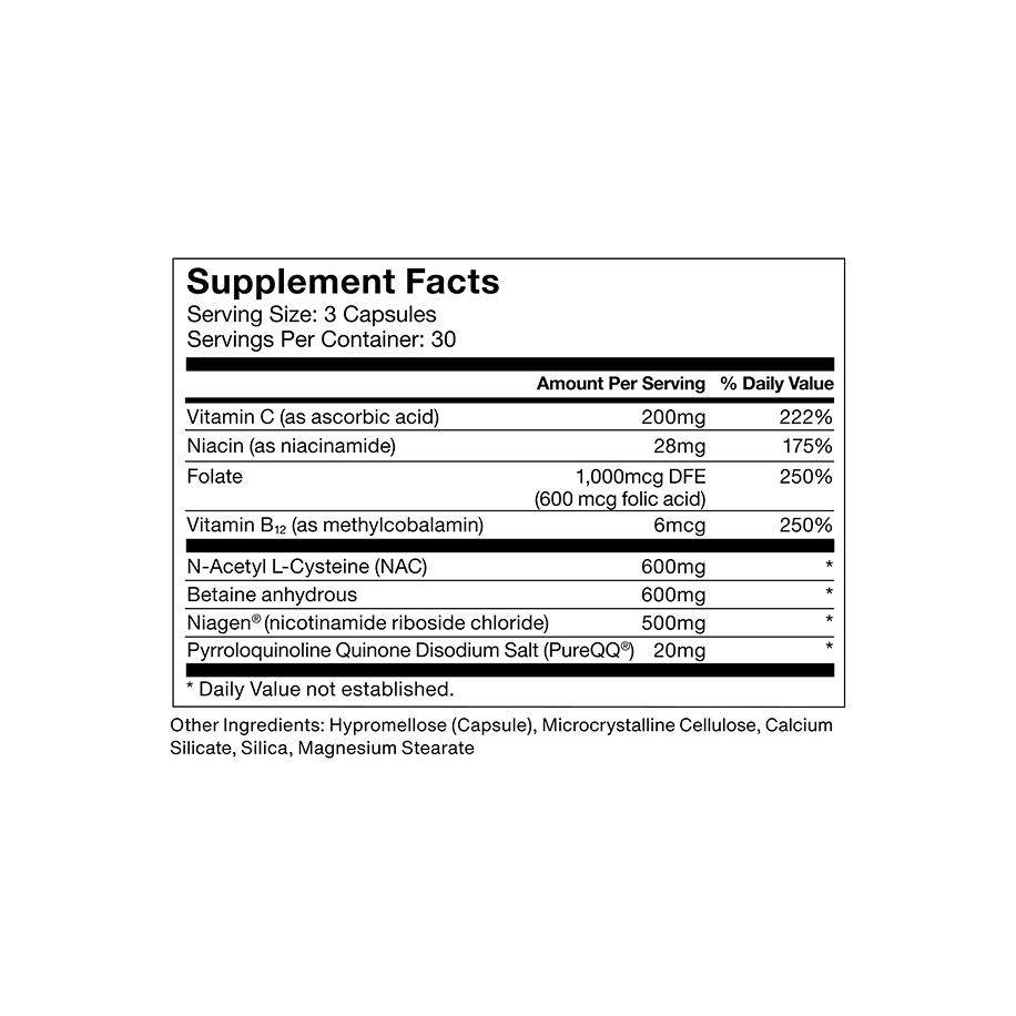 Longevity - Image 7